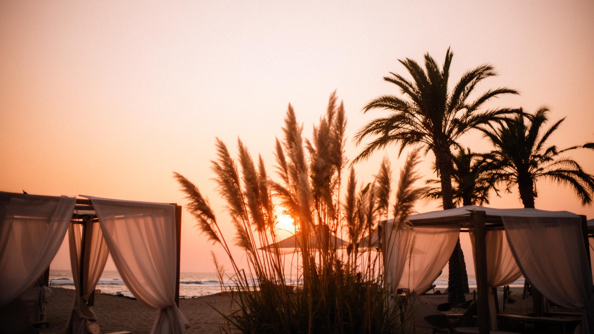 Sunset over the beach with palms, pampas grass and cabanas
