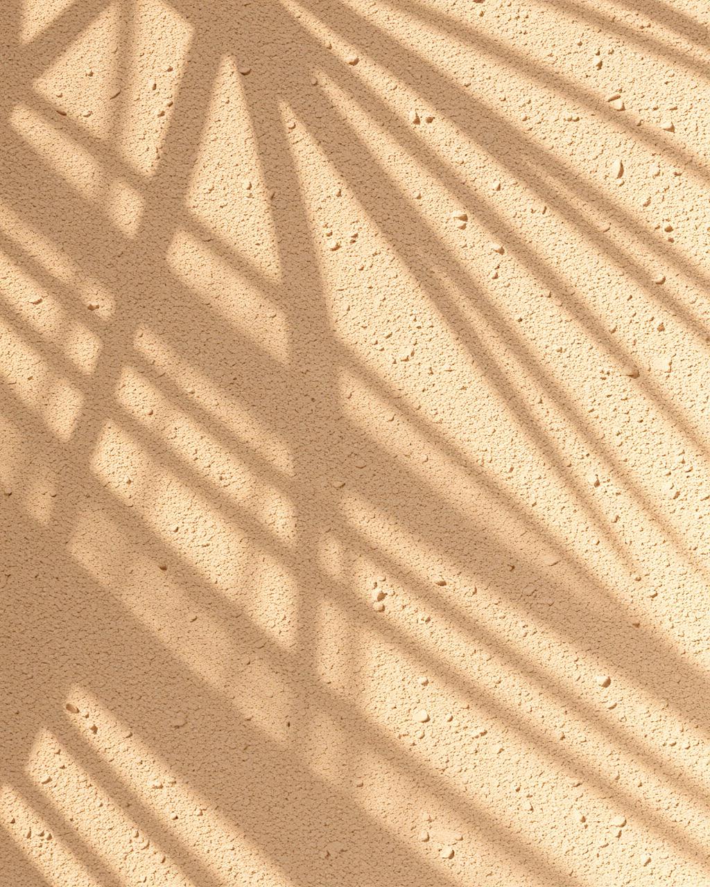 Sandstone wall texture with palm shadow